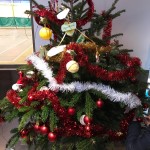 Sapin